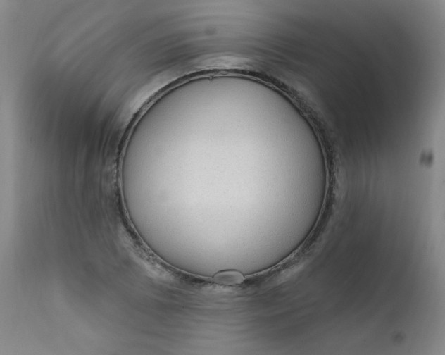 X0000112421073200909041407