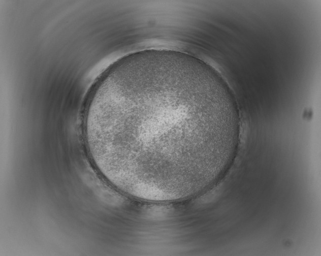 X0000112421074200909041407