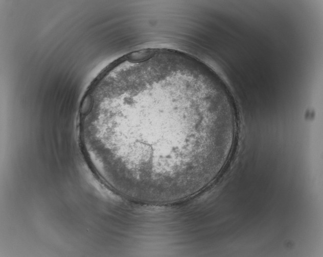 X0000112421076200909041407