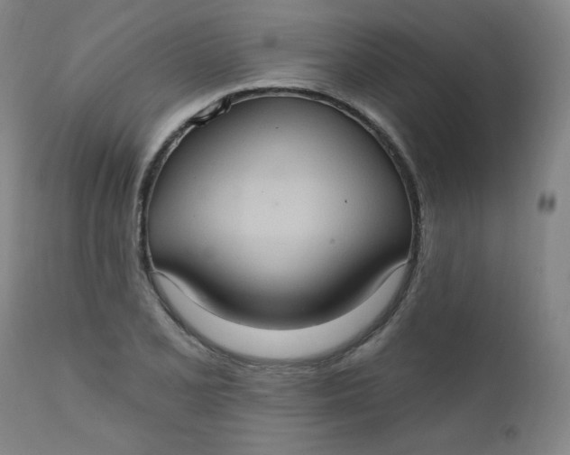 X0000112421077200909041407