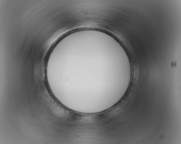 X0000112421078200909041407