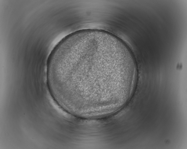 X0000112421079200909041407