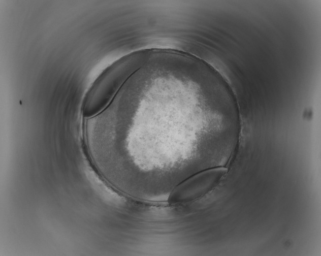 X0000112421080200909041407