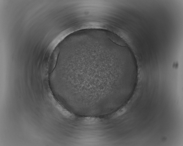 X0000112421081200909041407