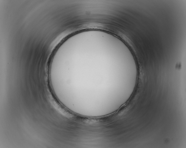 X0000112421082200909041407