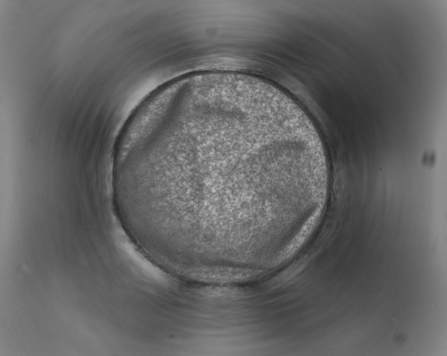 X0000112421083200909041407