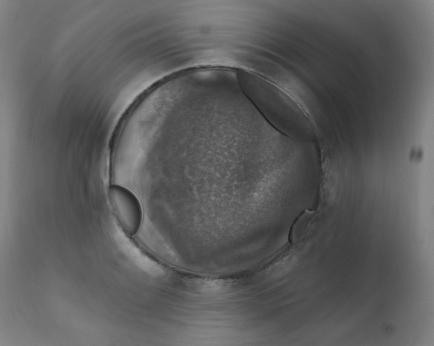 X0000112421084200909041407