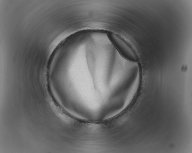 X0000112421085200909041407