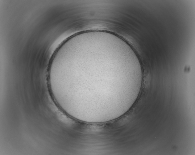 X0000112421086200909041407