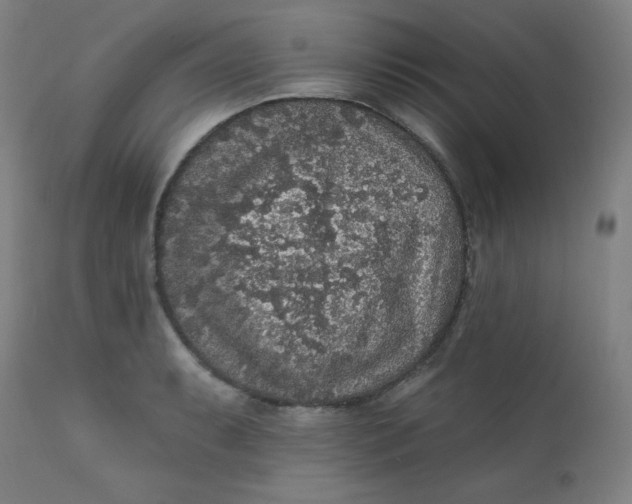 X0000112421087200909041406