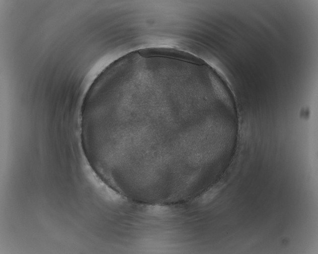 X0000112421088200909041406