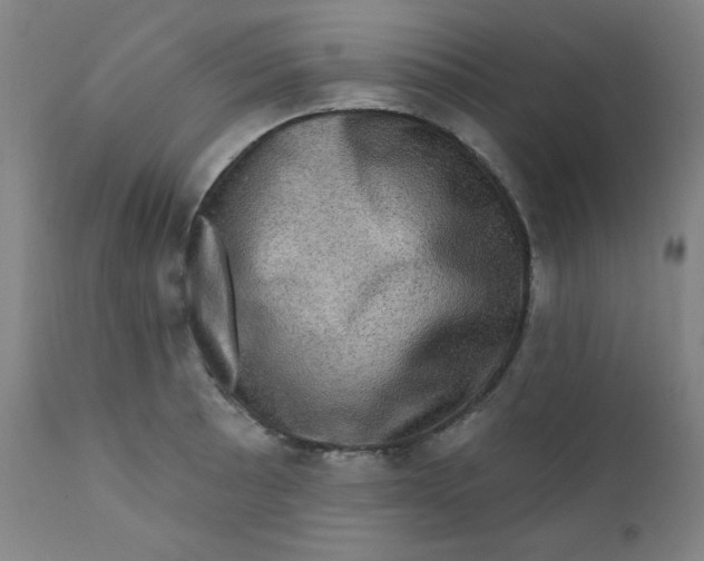 X0000112421089200909041406