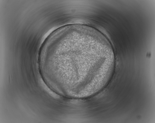 X0000112421091200909041406