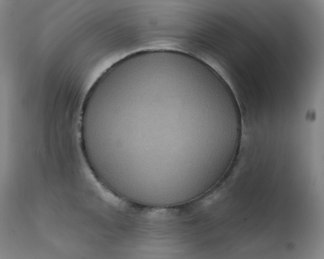 X0000112421093200909041406