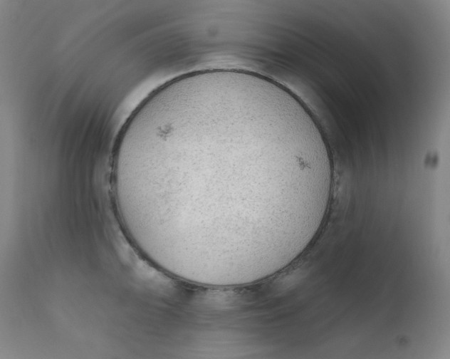 X0000112421094200909041406