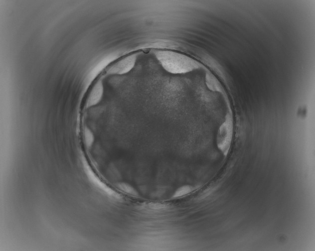 X0000112421095200909041406