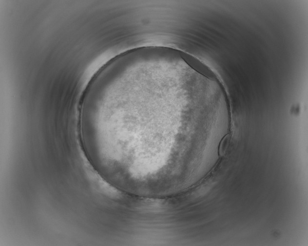 X0000112421096200909041406