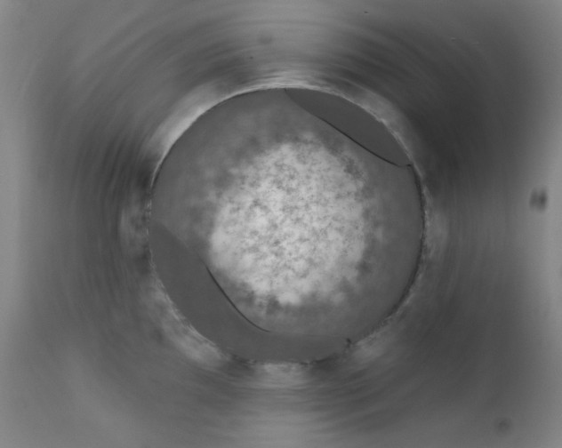 X0000112421097200909041406