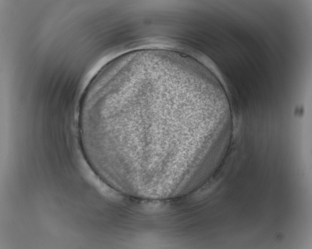 X0000112421099200909041406