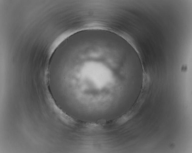 X0000112421101200909041406