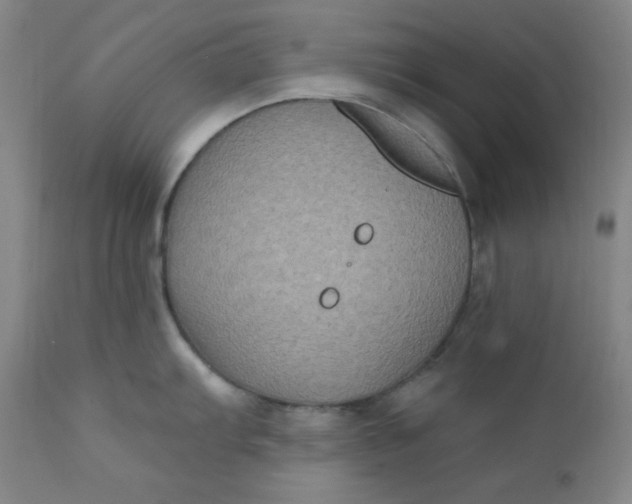 X0000112421103200909041406