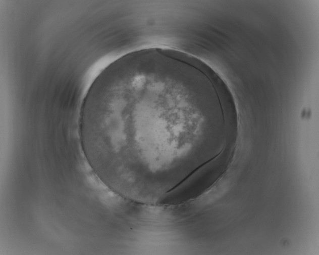 X0000112421104200909041406