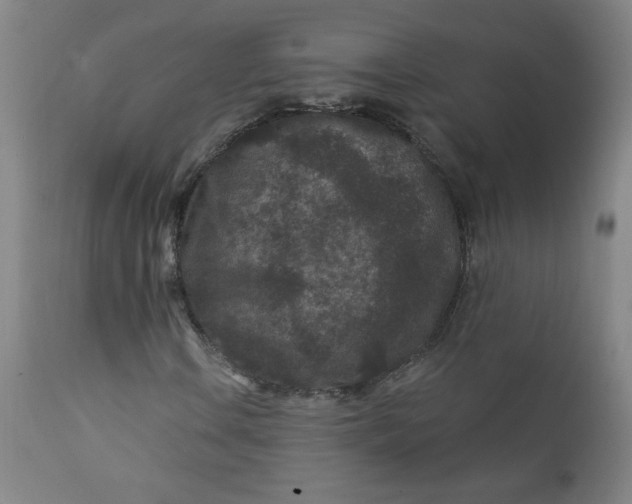 X0000112421106200909041406