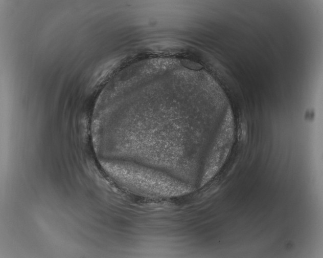 X0000112421108200909041406