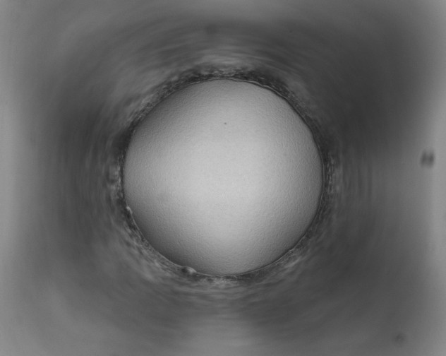 X0000112421109200909041406