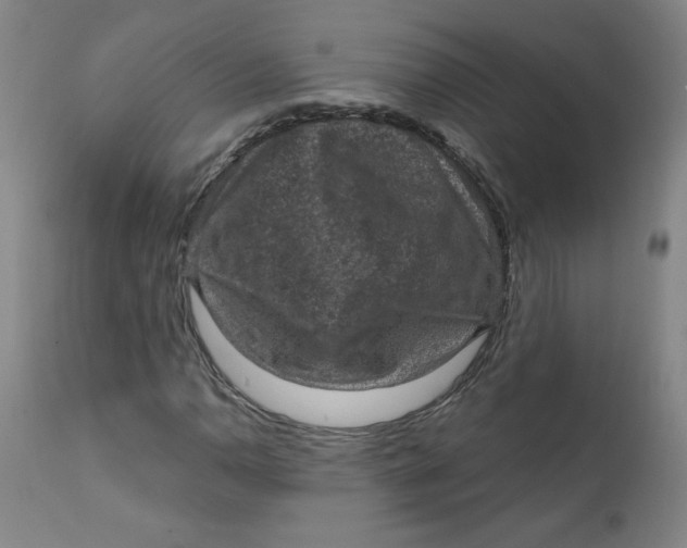 X0000112421110200909041406