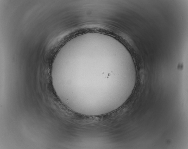 X0000112421111200909041406