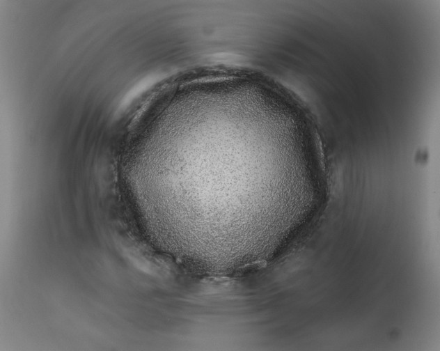 X0000112421112200909041406