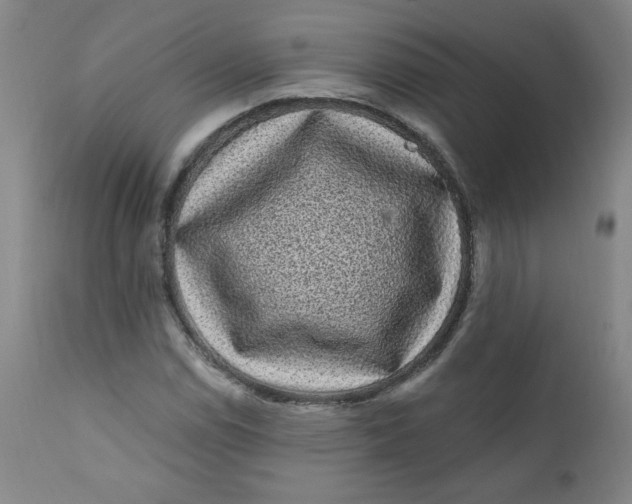 X0000112421114200909041406