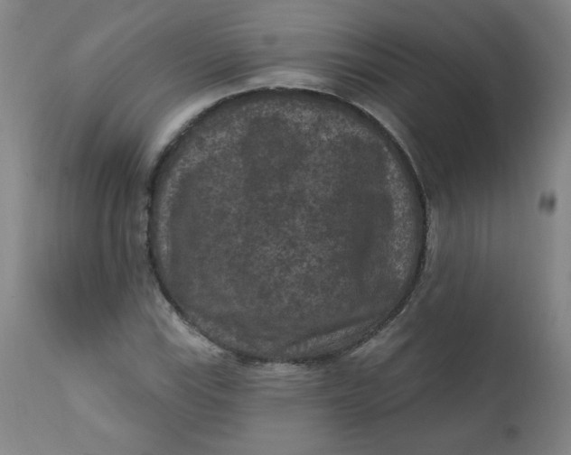 X0000112421115200909041406