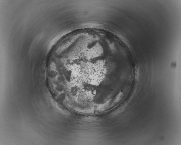 X0000112421117200909041406