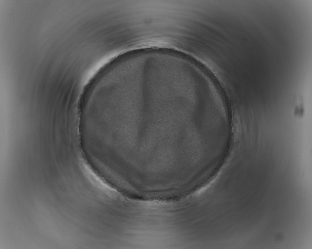 X0000112421118200909041406