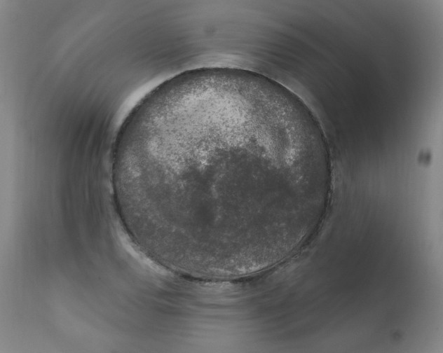 X0000112421120200909041406