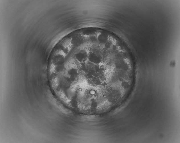 X0000112421121200909041406