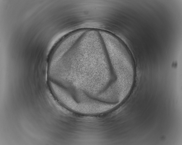 X0000112421123200909041406