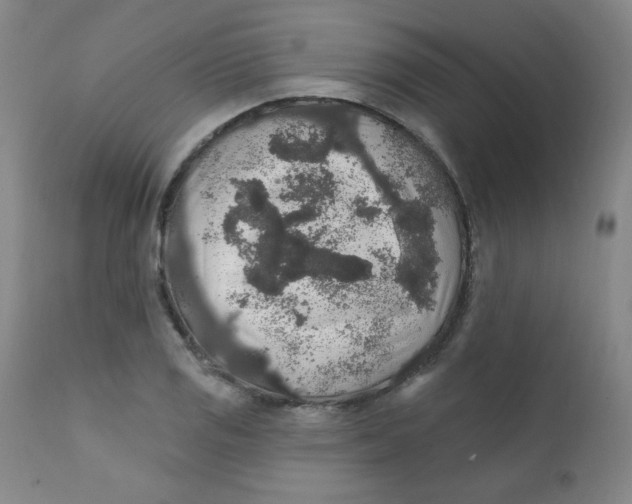 X0000112421125200909041406