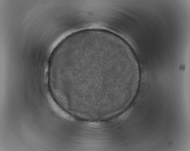 X0000112421126200909041406