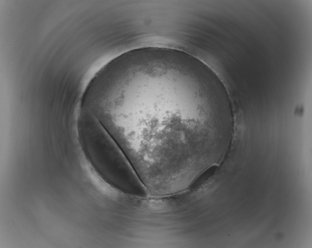 X0000112421128200909041406