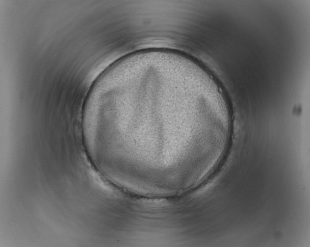 X0000112421129200909041406