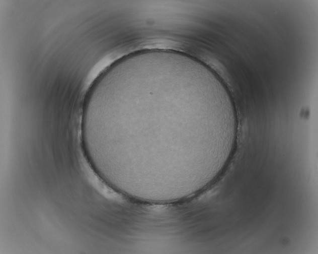 X0000112421130200909041406