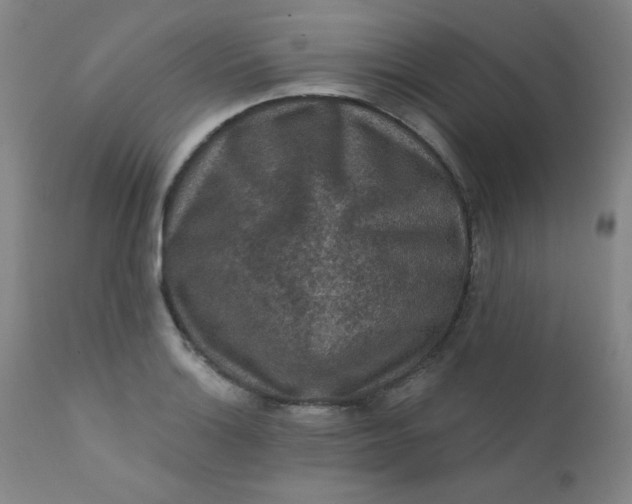 X0000112421132200909041406