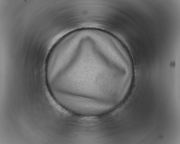 X0000112421133200909041406