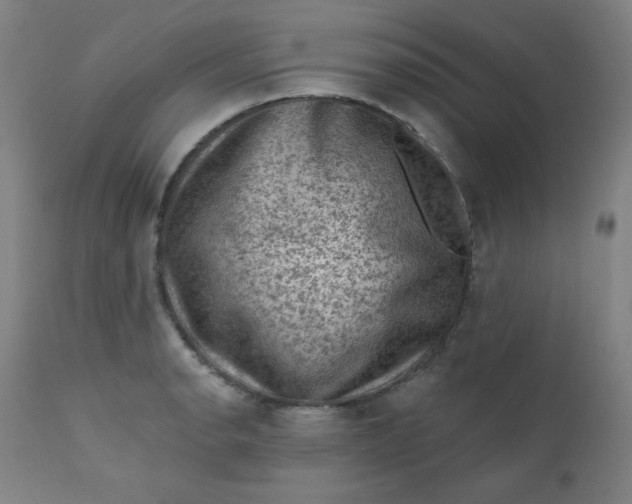 X0000112421134200909041406