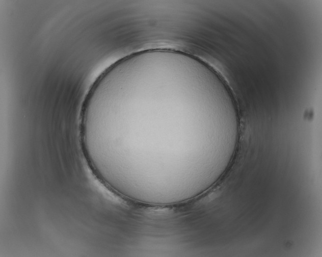 X0000112421135200909041406