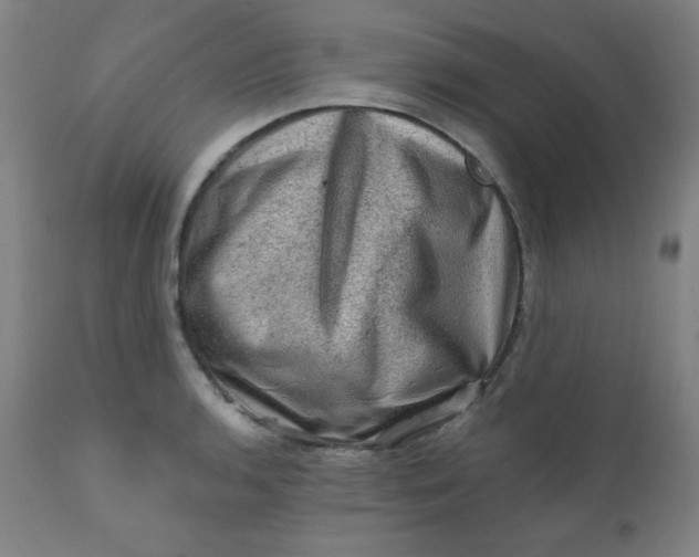 X0000112421136200909041406