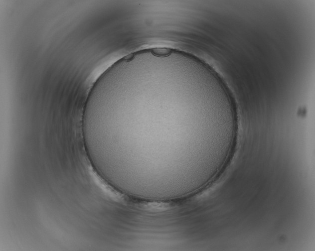 X0000112421137200909041406